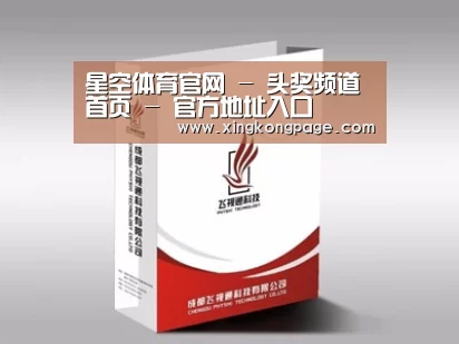 项目名称十三