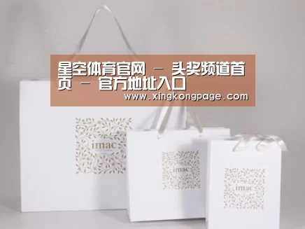 项目名称十一